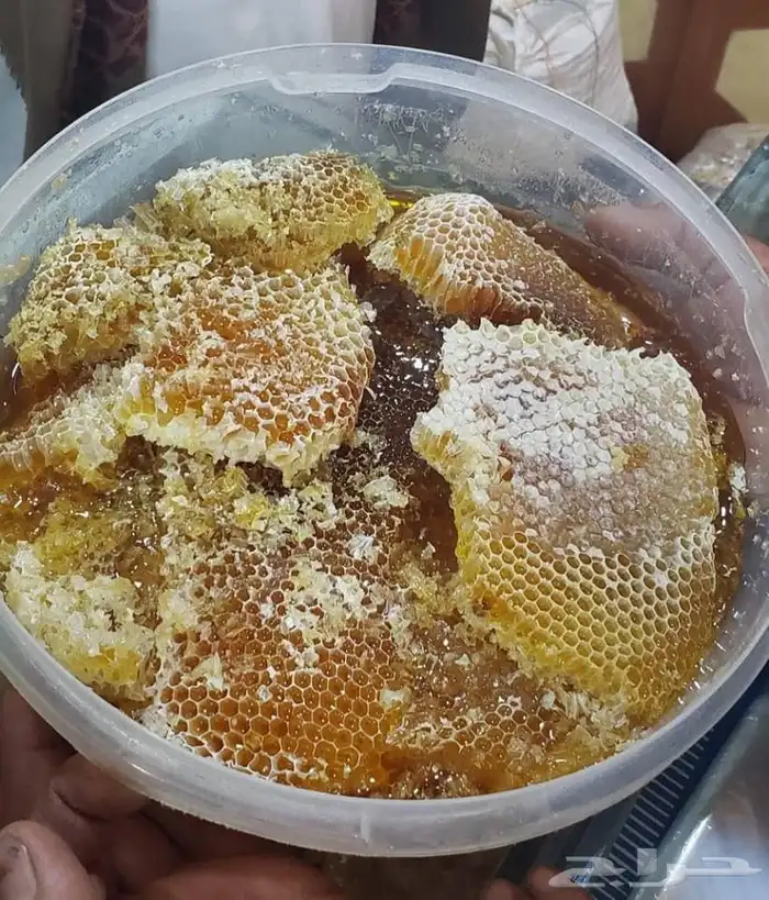 سدر عصيمي ملكي 5