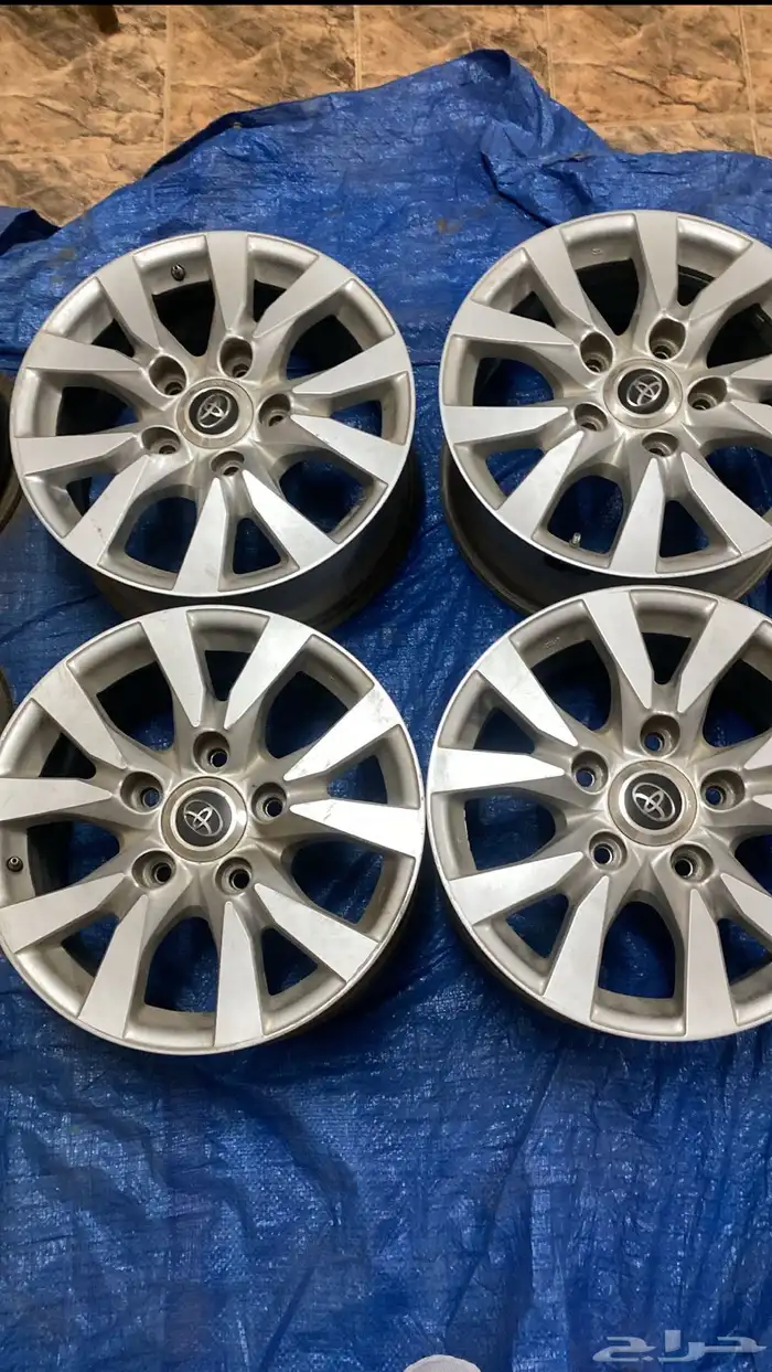 جنوط صالون 2017 1