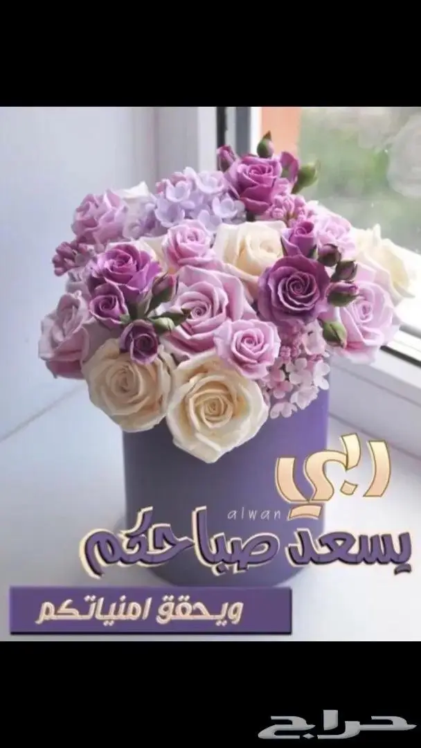مستعمل عقد فضة سلسال فضه ايطالي شكل سلسلة صب ثقيل 70 جرام 23
