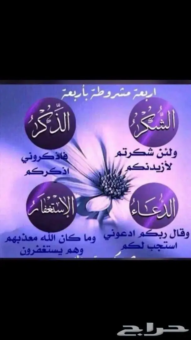 مستعمل عقد فضة سلسال فضه ايطالي شكل سلسلة صب ثقيل 70 جرام 26