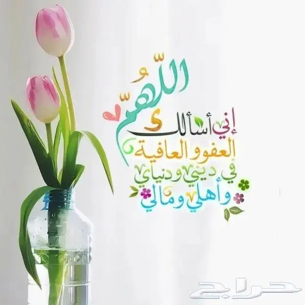 مستعمل عقد فضة سلسال فضه ايطالي شكل سلسلة صب ثقيل 70 جرام 40