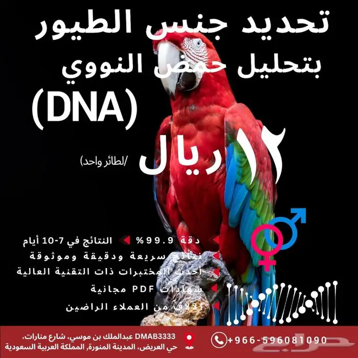 خدمات تحديد جنس الطيور بتحليل الحمض النوويDNA 0