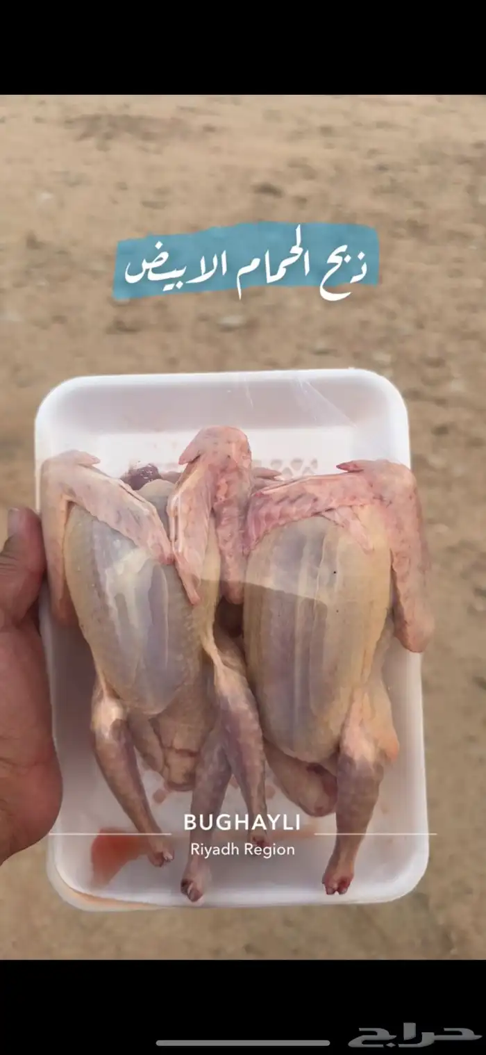 حمام فرنسي مع سلفر مشروع 22