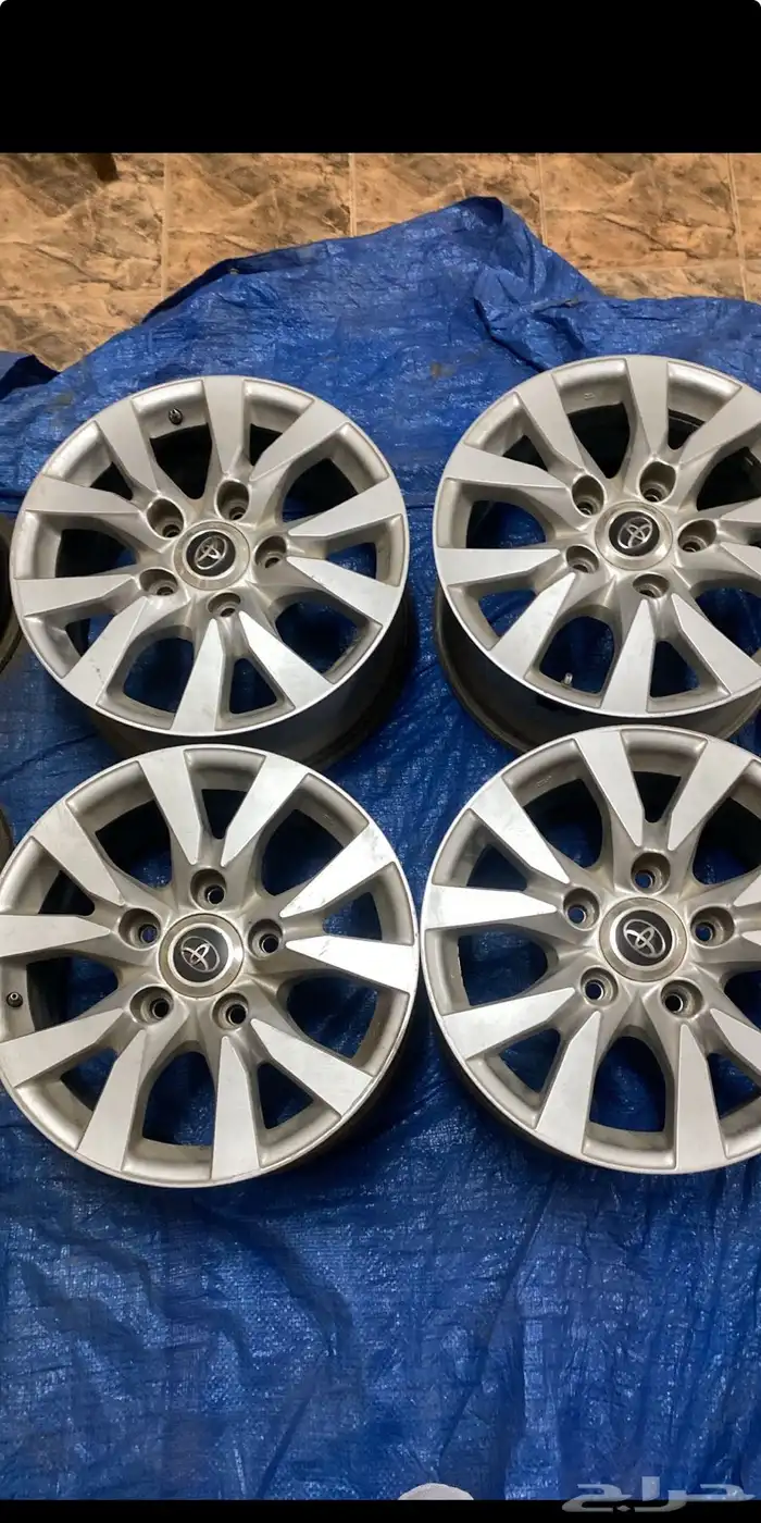 جنوط صالون 2017 0