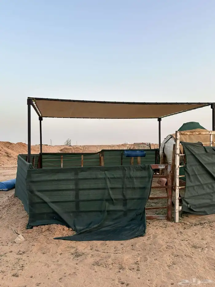 مضلات البل مضلت الئبل مضلا سياره 9