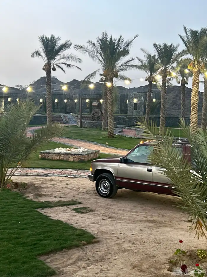تم البيع تم البيع تم البيع 31