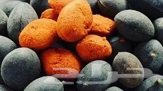 حمر جاوي فاخر من الاخر حبة كبيرة طازجة 0