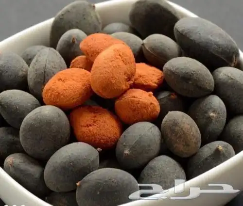 حمر جاوي فاخر حبة كبيرة وطازجة 0