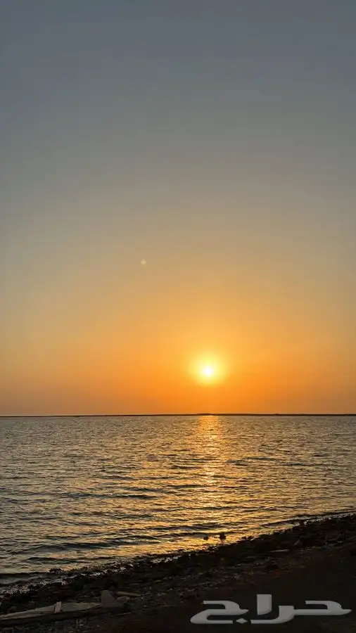 مأذون شرعي لعقود أنكحة القصيم 0