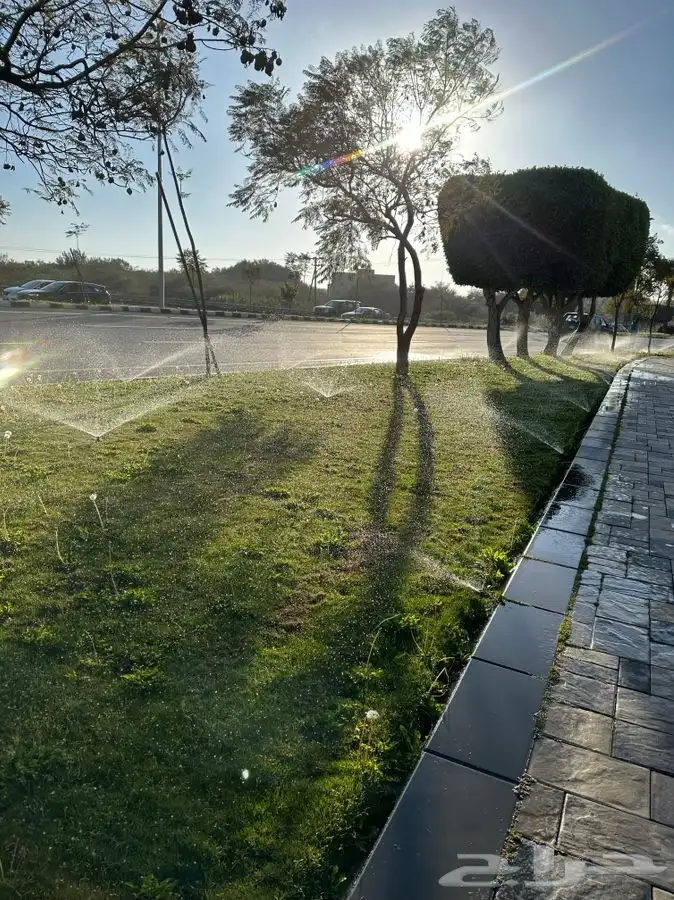 إنجيلة C2000 مقاوم للملوحة 9