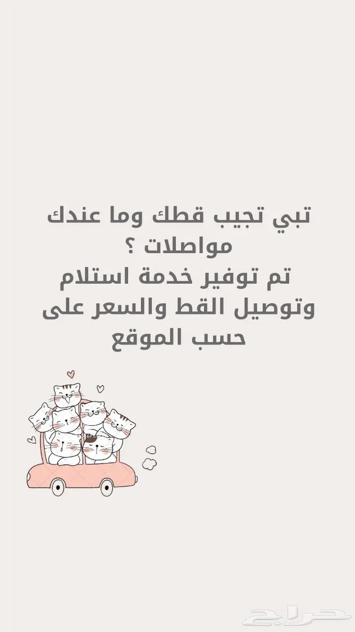 فندقة قطط ابها 2