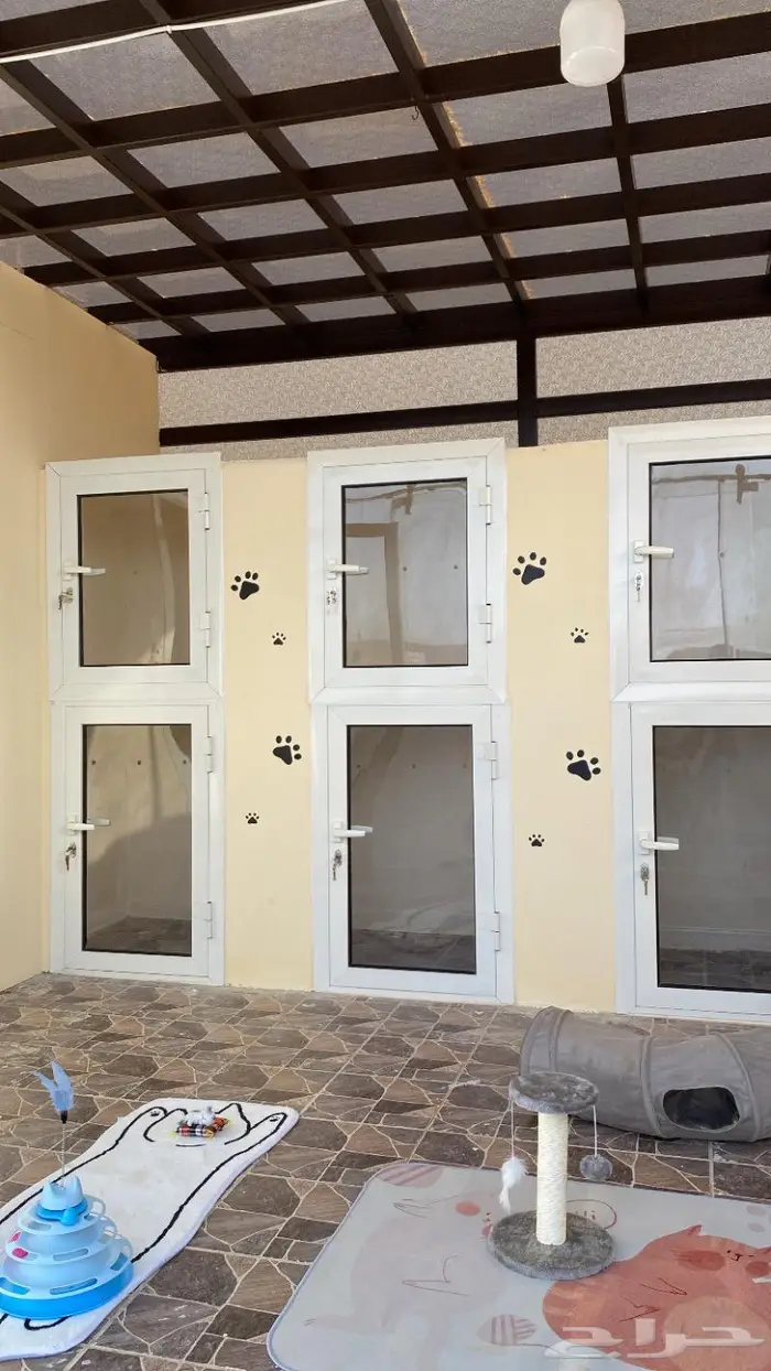 فندقة قطط ابها 5