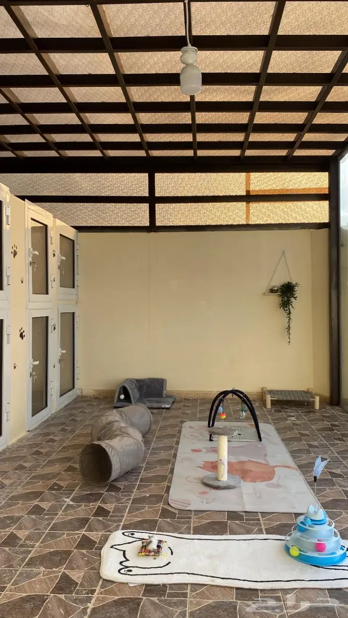 فندقة قطط ابها 6