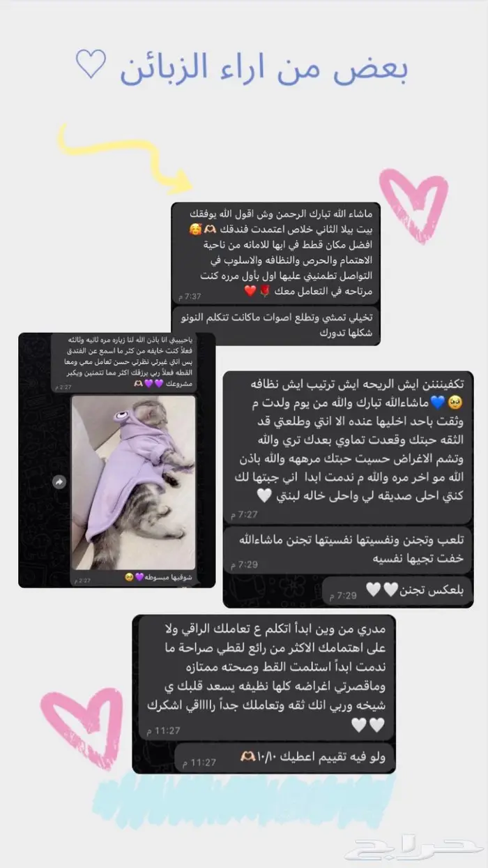 فندقة قطط ابها 3