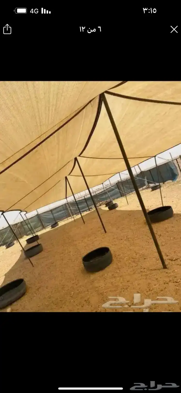 مضلات غنم حلال وابل وتصلح للسيارات 5