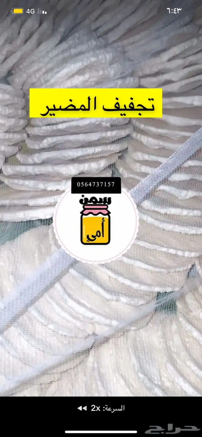 مضير وسمن بقر بلدي 0