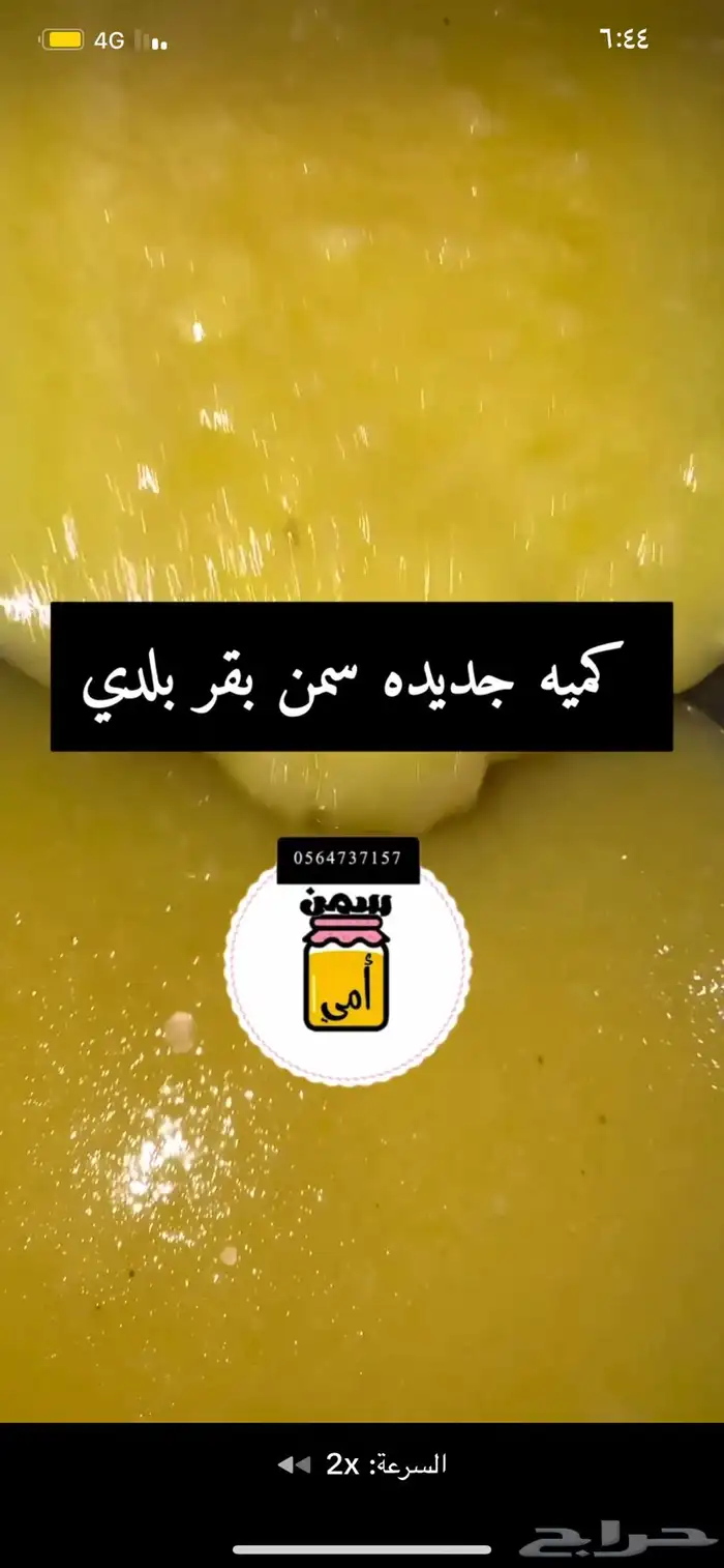 مضير وسمن بقر بلدي 5