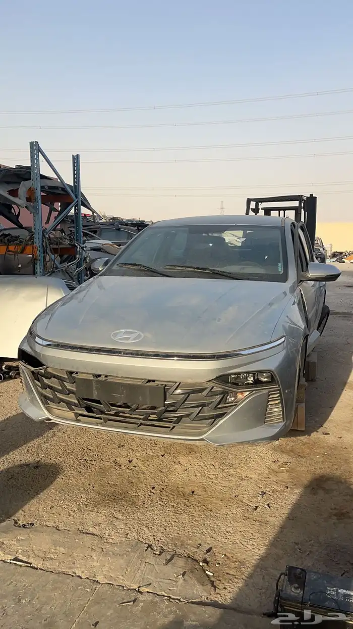 اكسنت 2024 0