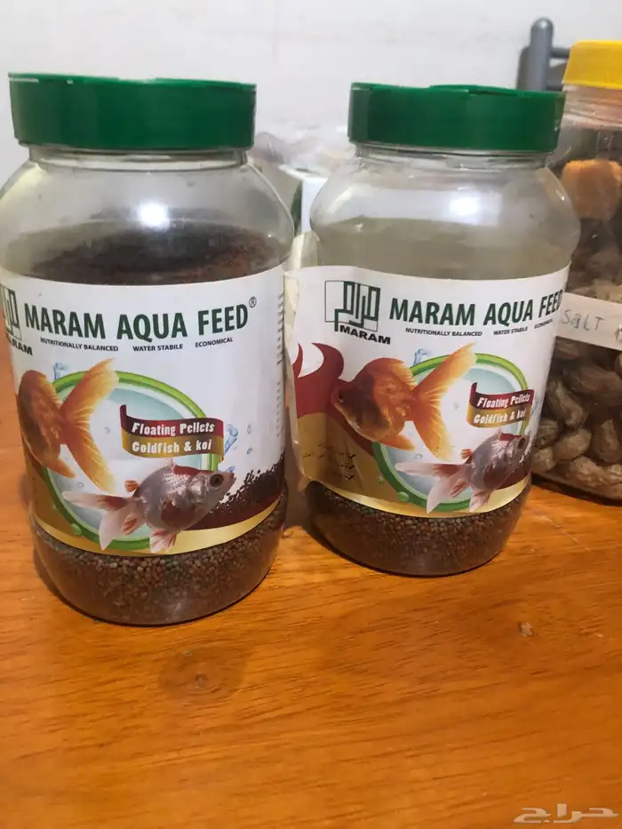 مسجل افانزا 4