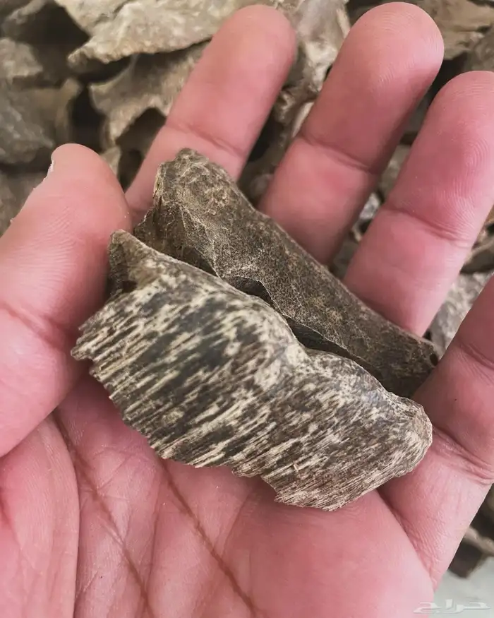 بخور طبيعي فاخر ومشروط 1