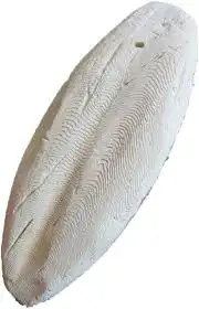 عظم حبار للبيع 0