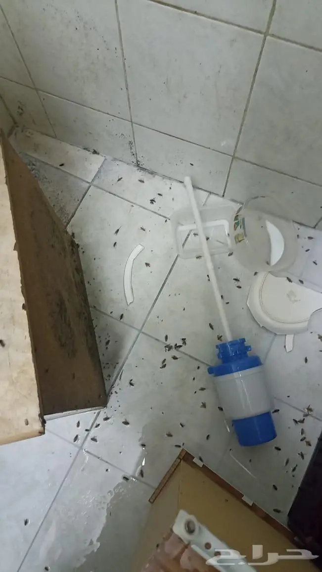 شركة تنظيف بالرياض مكافحة حشرات ورش مبيدات الحشرات بالرياض 38