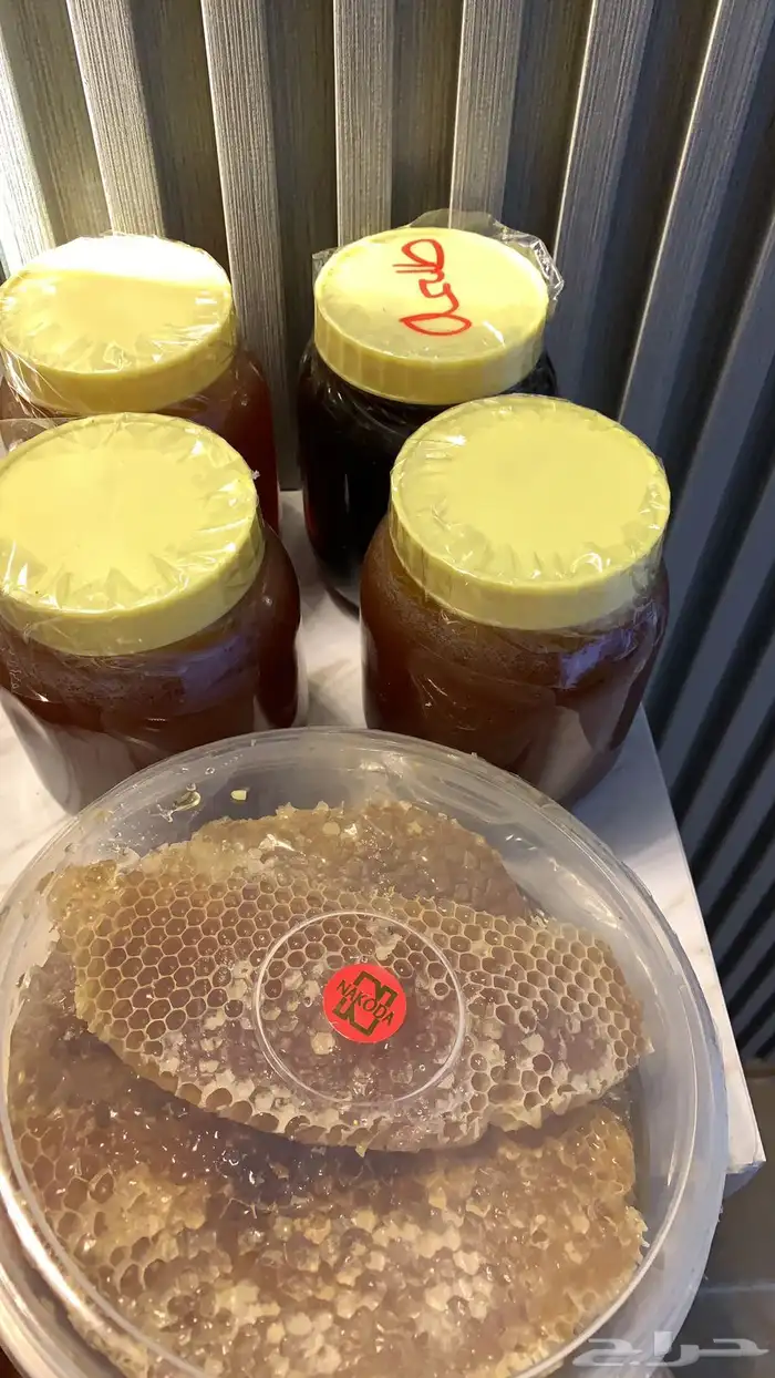 عسل من منحلي في الجنوب سمر سدر طلح ضهيانه غذاء الملكه اصلي 4