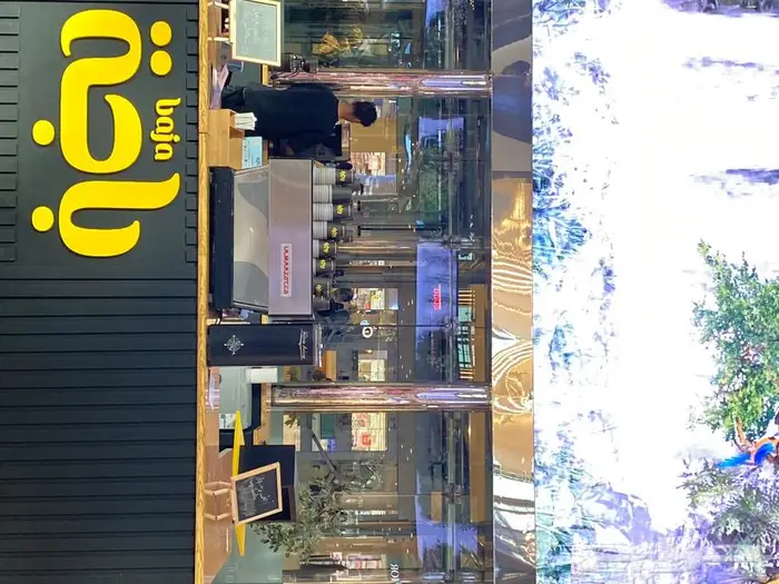 تاجير مكاين قهوة ومطاحن اسبريسو 9