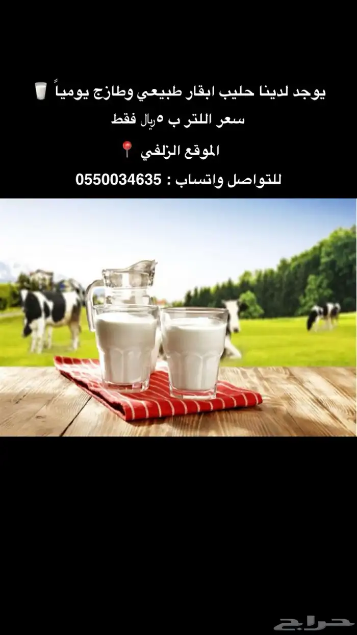 حليب ابقار طازج يوميا 0