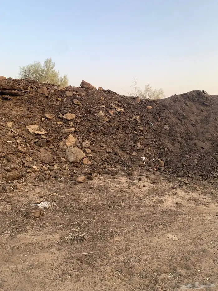 سماد ابقار صافي طبيعي 100 2
