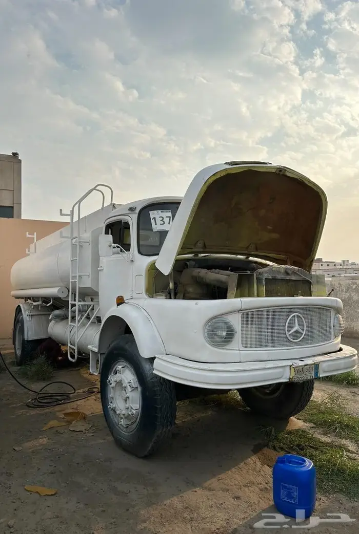 وايت عايدي جفالي 81 0