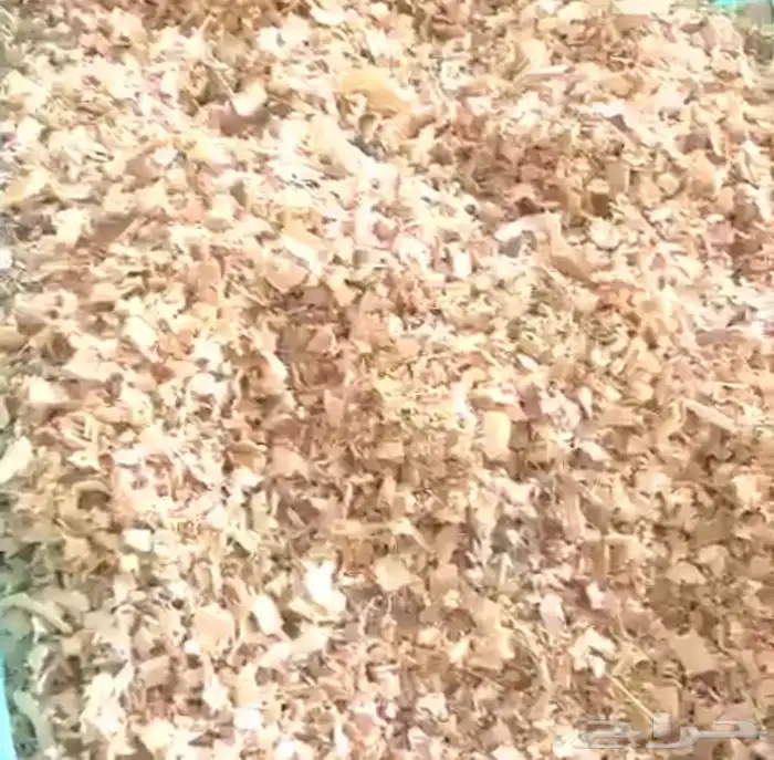 نشارة دواجن جوده عاليه خاليه من الرطوبه 0