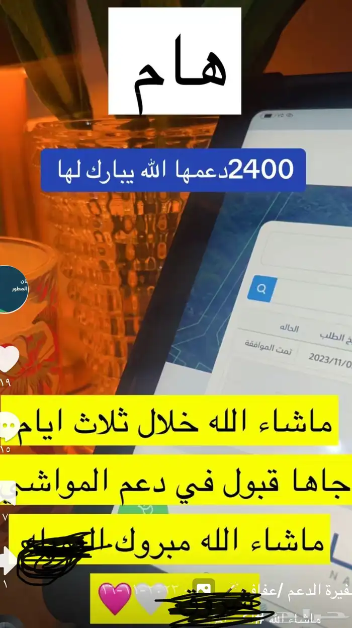 رفع ترقيم دعم المواشي 7