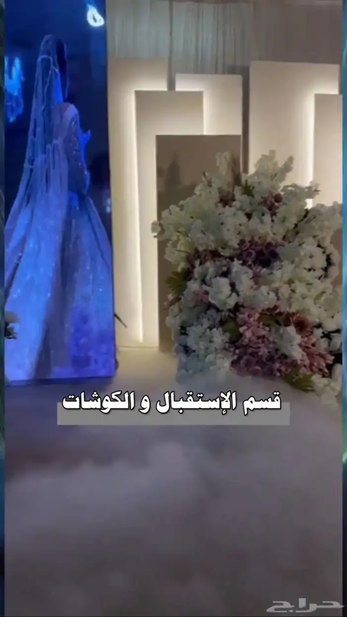 افتتاح محل 29