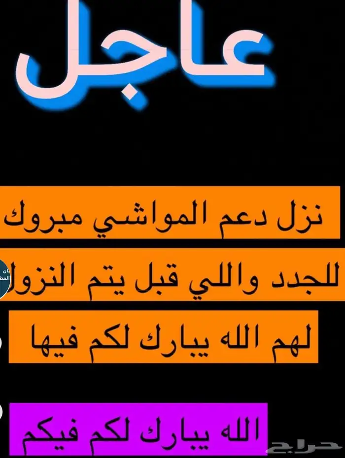 رفع ترقيم دعم المواشي 6