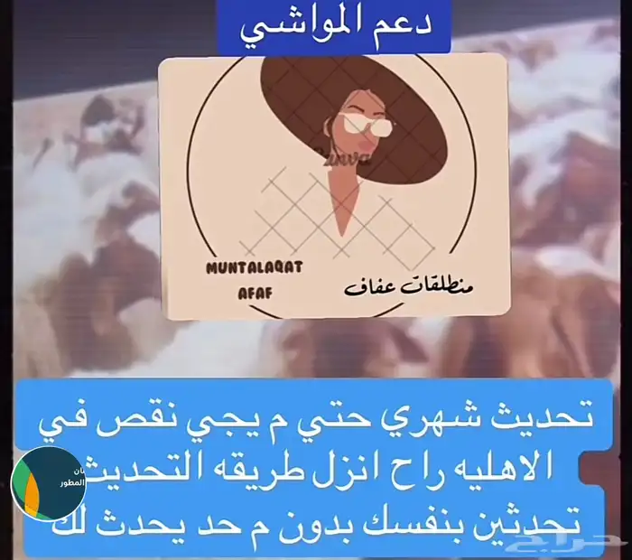 رفع ترقيم دعم المواشي 8