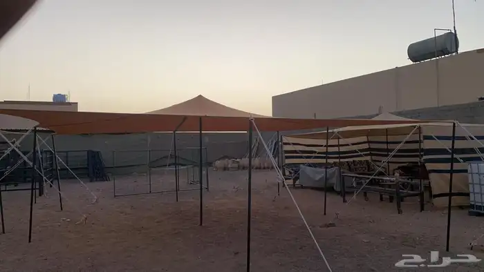 مضلات غنم 5