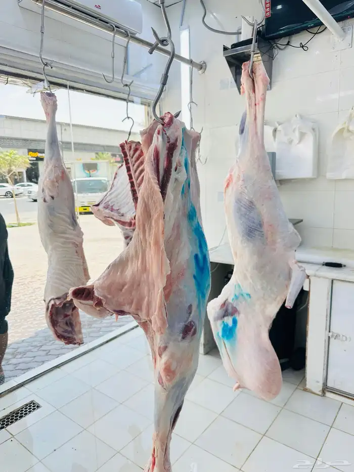 ملحمة نوادر الجزيرة للحوم الطازجة 59