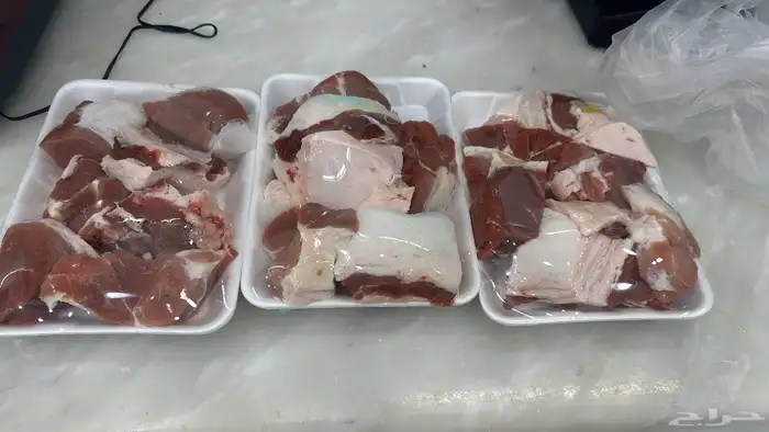 ملحمة نوادر الجزيرة للحوم الطازجة 61
