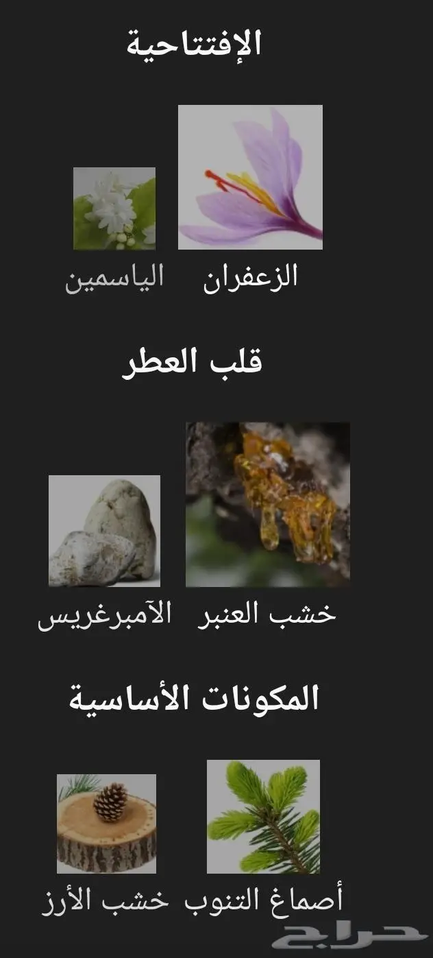 أفضل بديل عطر بكرات روج 1