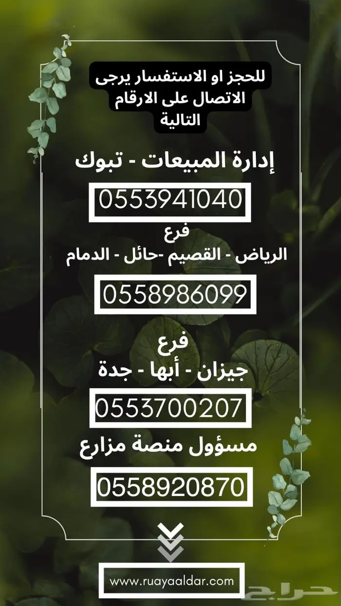 الجي آر الأردني بجميع المقاسات 4