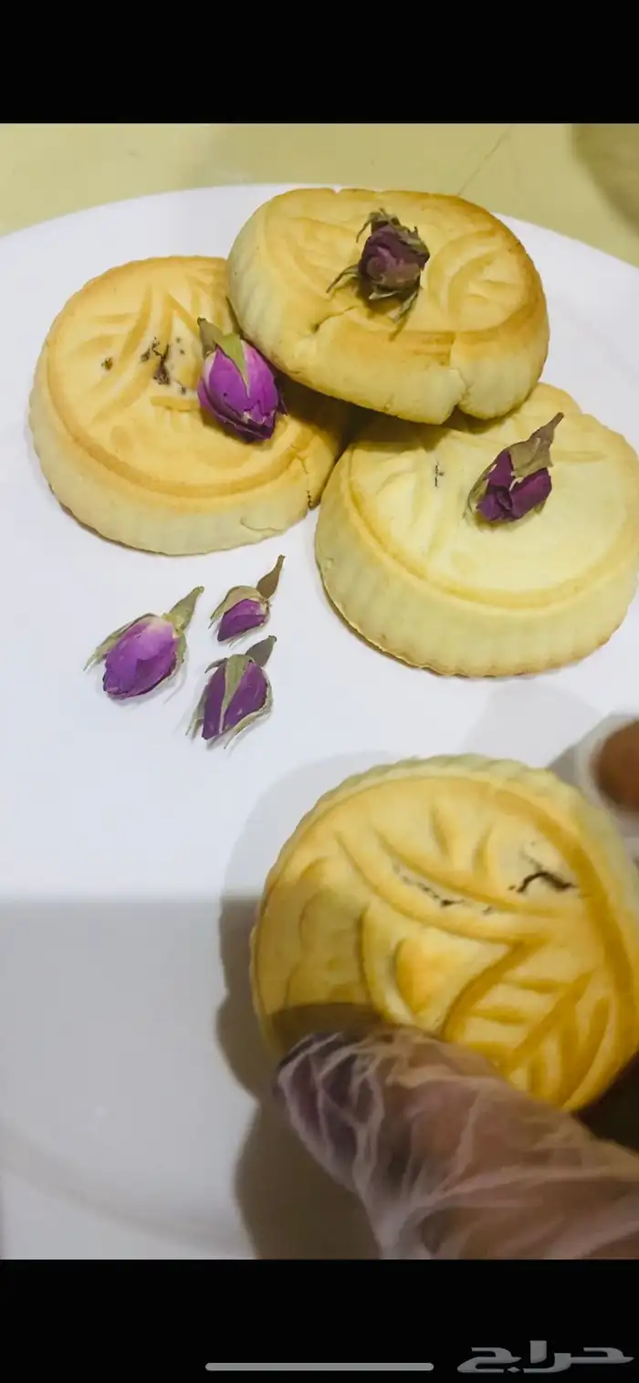 جميع المنتجات 11