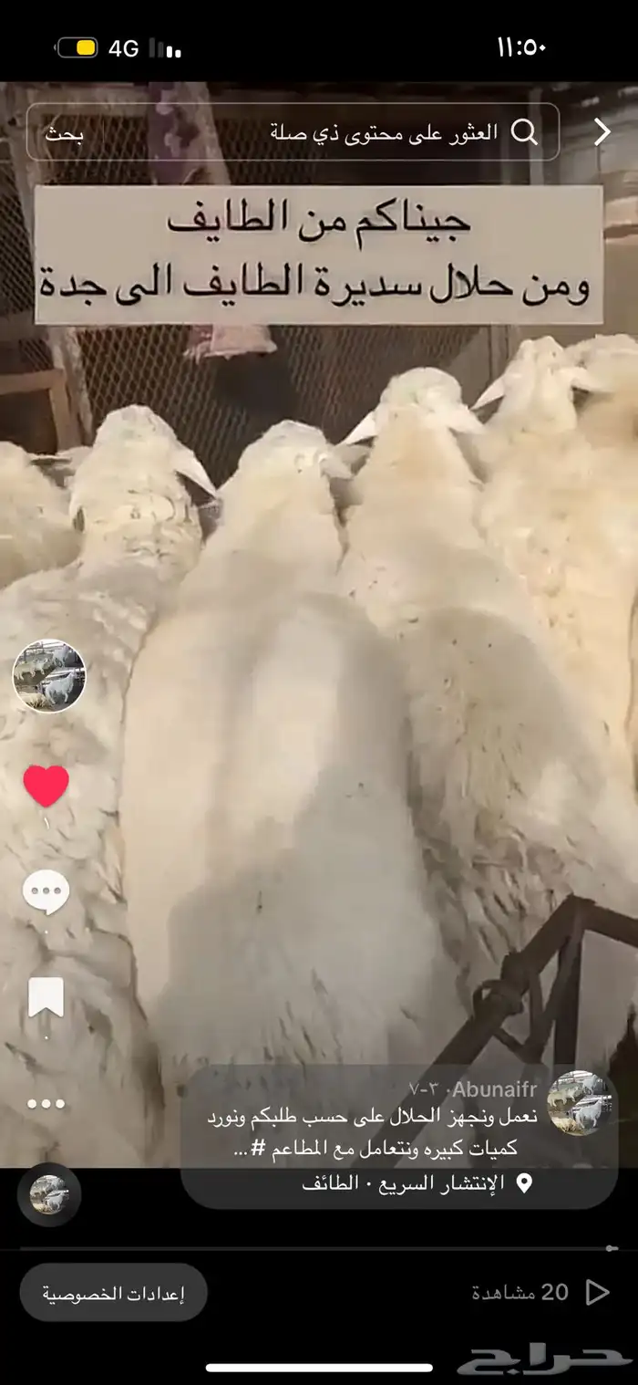 سواكن وحري ونجدي طائفية 8