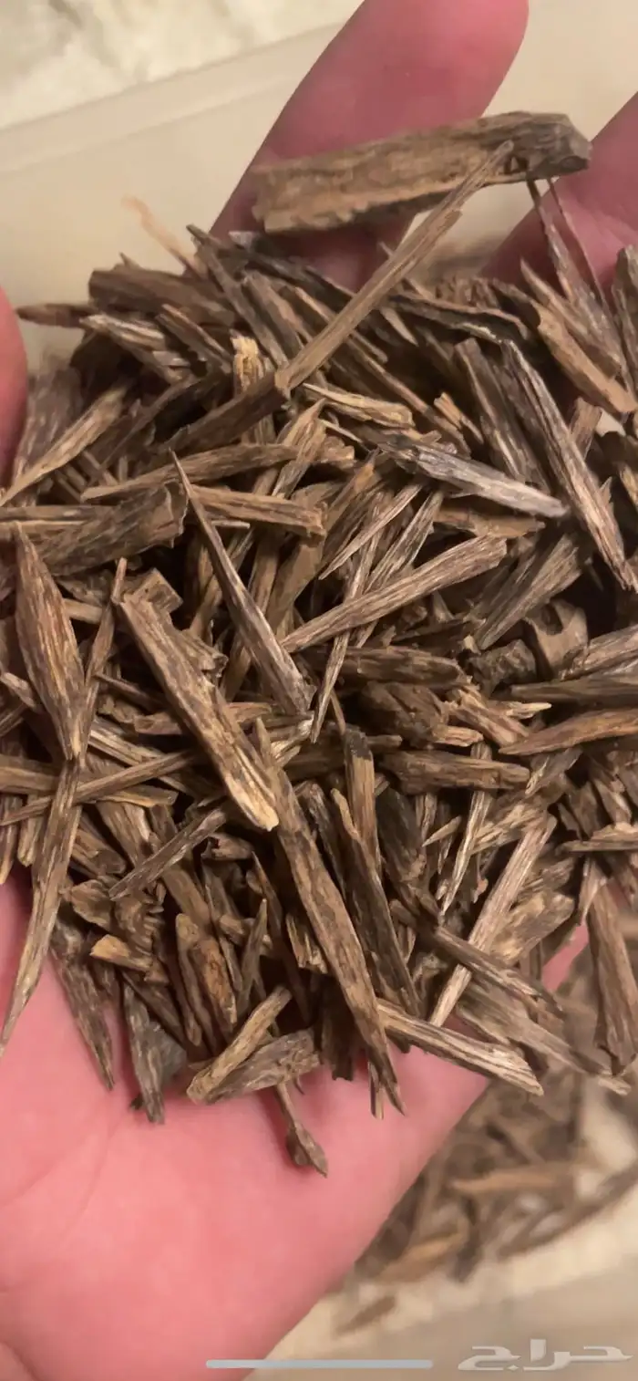 بخور طبيعي ومشرووط 0