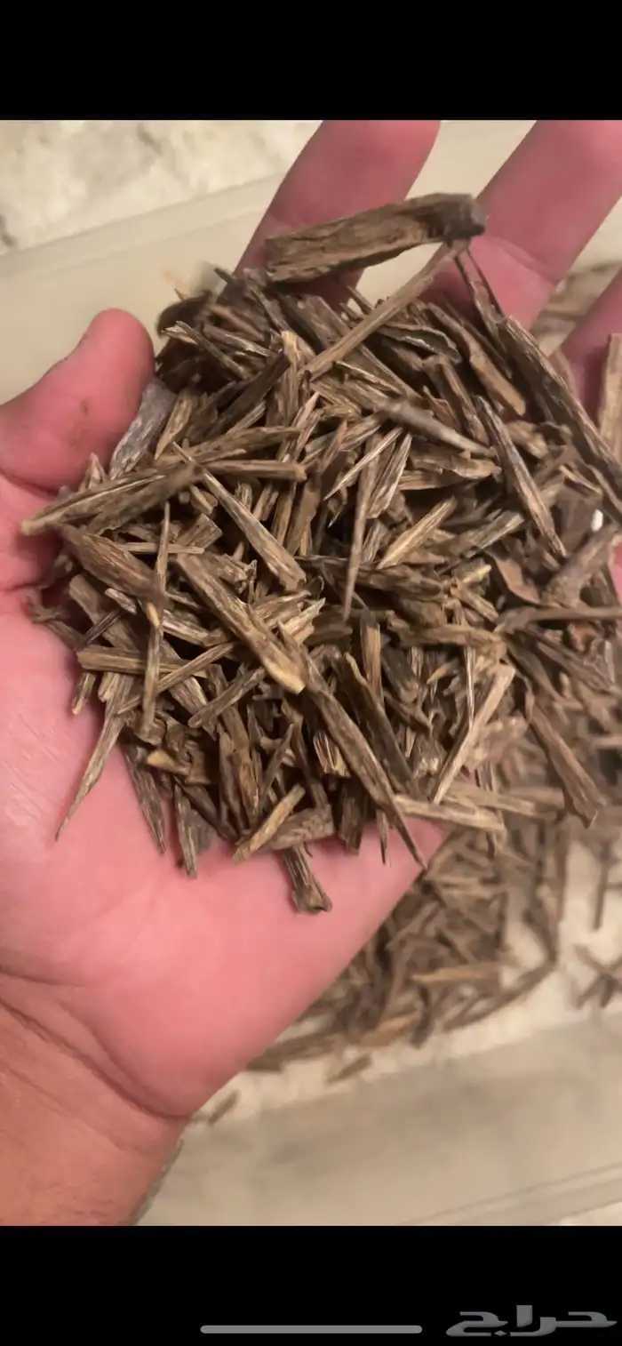 بخور طبيعي ومشرووط 1