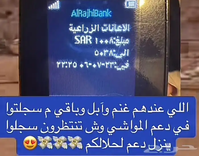 رفع ترقيم دعم المواشي 2