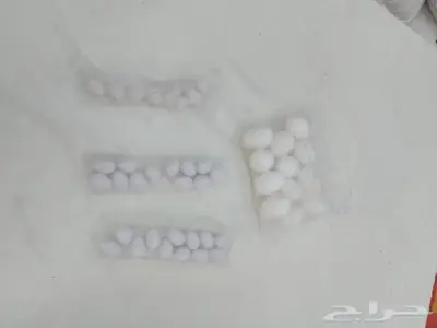 بيض دجاج صناعي وحمام وطيور صغيره 7