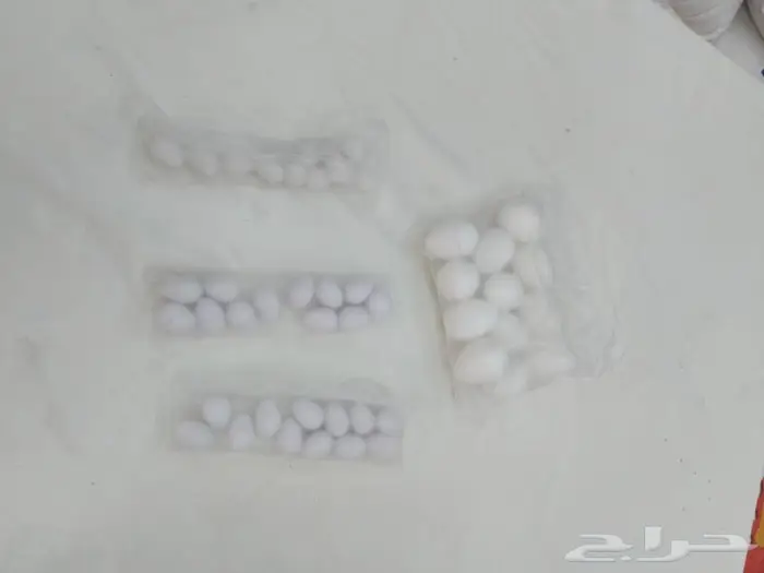 بيض دجاج صناعي وحمام وطيور صغيره 7