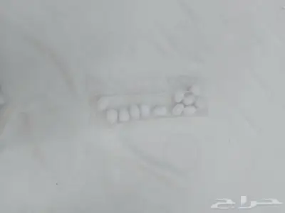 بيض الدجاج الصناعي 2