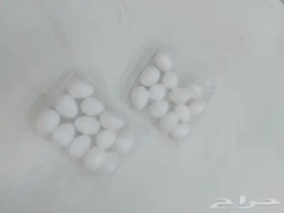 بيض الدجاج الصناعي 5